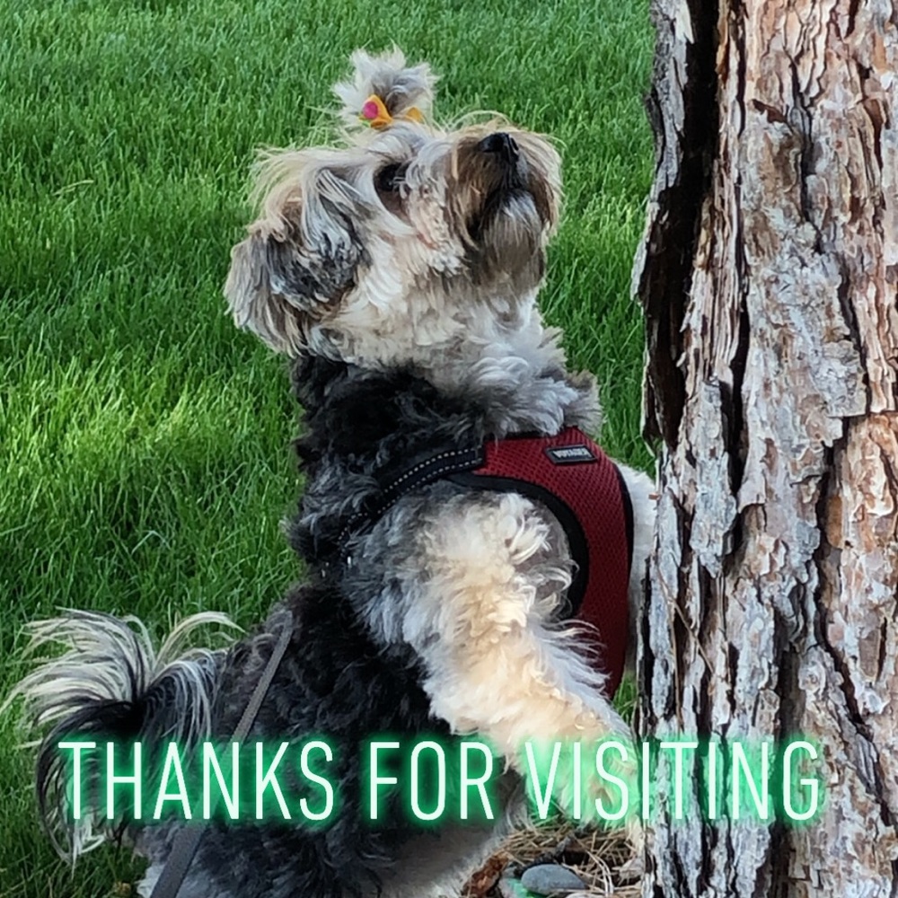 Meet your Posher, Lee